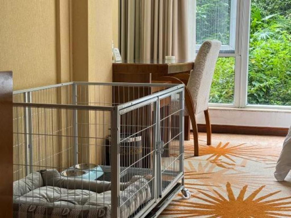 Hongzhushan Hotel Mount Emei Leshan Dış mekan fotoğraf